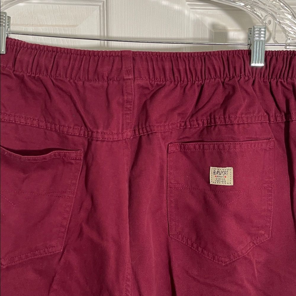 Womens Blassport Burgundy Pants - Picture 7 of 9
